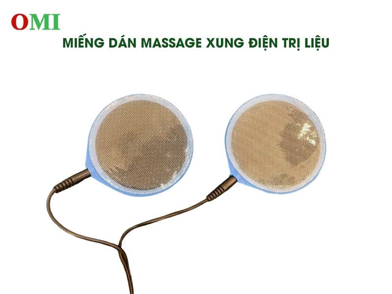 Bộ Điều Khiển Thảm Đá Nóng Có Massage Xung Điện Trị Liệu